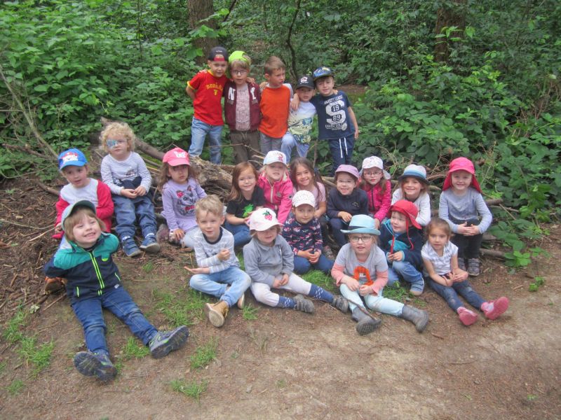 Foto zeigt die Kita-Kinder im Wald.