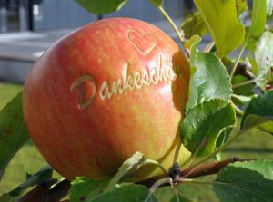 Foto zeigt einen Apfel mit der Aufschrift Dankeschön vor dem Rathaus.