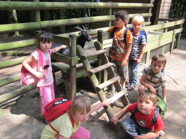 Ausflug Der Kita Villa Sonnenschein Zum Tierpark