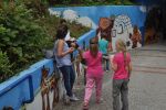 Graffiti Projekt Unterfuehrung Auf Den Koeppen Kindergruppe