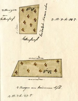 Zeichnung aus 1808: Karte mit zum Burghof gehörigen Wald im Kottenforst. (Archiv von Cler Nr. 631)