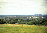 Das Foto zeigt eine Landschaftsaufnahme mit Blick auf Meckenheim und dem Siebengebirge im Hintergrund
